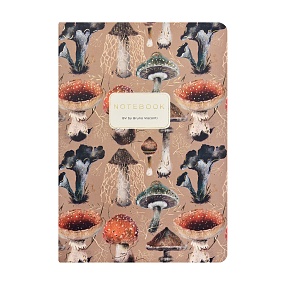Тетрадь общая BrunoVisconti®
А5 (147 х 210 мм)
"FLORA.MUSHROOM GALLERY" 40 л., линейка
Арт. 7-40-505/83