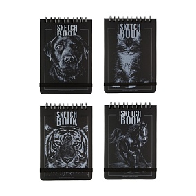 SKETCHBOOK BrunoVisconti®
147х210  мм, 60 л.
Черный 110 г, на гребне
Арт. 1-505/03
обложка в ассортименте