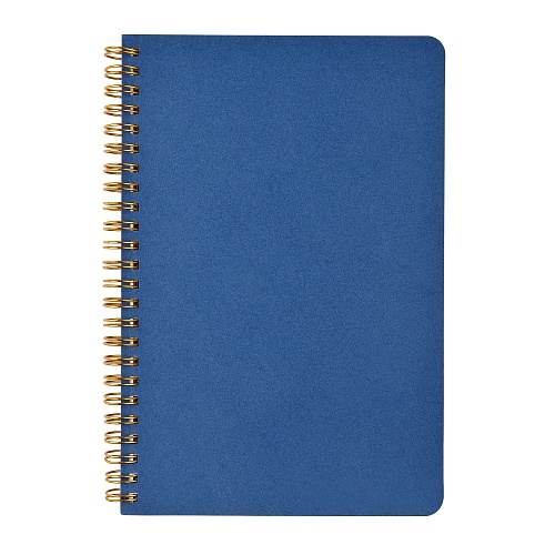 Тетрадь общая BrunoVisconti®
А5 (135 х 198 мм.)
"PRAGMATIC" синий 60 л., линейка
Арт. 7-60-1402/07: фото #1