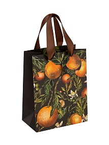 Пакет бумажный упаковочный подарочный BrunoVisconti®
 (180 х 230 х 100 мм)
"FLORA.PARADISE.ORANGES"
Арт. 2-851/15