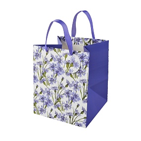 Пакет бумажный упаковочный подарочный BrunoVisconti®
 (25 х 30 х 25 см)
"FLORA.ВАСИЛЬКИ"
Арт. 2-873/04