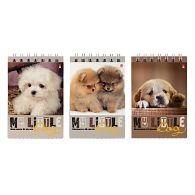 Блокнот Альт®
А7 (68 х 104мм)
"ЧУДО ЩЕНОЧКИ"  40 л.
Арт. 3-40-065
обложка в ассортименте