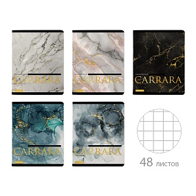 Тетрадь общая BrunoVisconti®
А5 (165 х 203 мм)
"CARRARA" 48 л., клетка
Арт. 7-48-1326
обложка в ассортименте