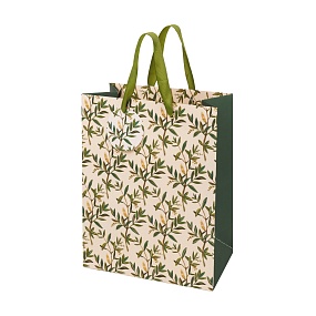 Пакет бумажный упаковочный подарочный BrunoVisconti®
 (260 х 324 х 130 мм)
"FLORA.ОЛИВА"
Арт. 2-852/16