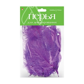 ПЕРЬЯ ДЛЯ ДЕКОРИРОВАНИЯ ОДНОЦВЕТНЫЕ КАРНАВАЛЬНЫЕ, 6 ВИДОВ. НАБОР №4
Арт. 2-405/03