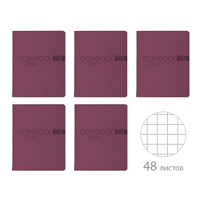 Тетрадь общая BrunoVisconti®
А5 (165 х 203 мм)
"MY COLOR" АМЕТИСТ 48 л., клетка
Арт. 7-48-1382
