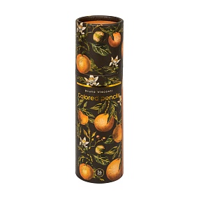 Карандаши цветные BrunoVisconti®
36  цветов, грифель 3 мм
Flora "FLORA.PARADISE.ORANGES"
Арт. 30-0159/01