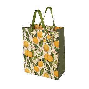 Пакет бумажный упаковочный подарочный BrunoVisconti®
 (260 х 324 х 130 мм)
"FLORA.PARADISE.LEMONS"
Арт. 2-852/09