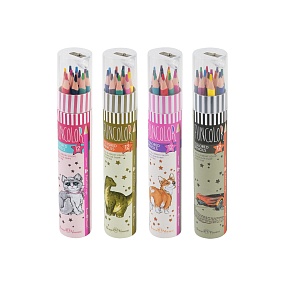 Карандашии цветные BrunoVisconti® в тубусе с точилкой,
12 цветов "FunColor"
Арт. 30-0085
упаковка в ассортименте