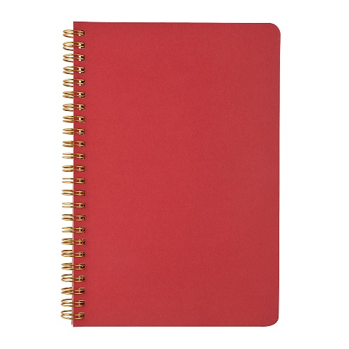 Тетрадь общая BrunoVisconti®
А5 (135 х 198 мм.)
"PRAGMATIC" красный 60 л., линейка
Арт. 7-60-1402/05: фото #3