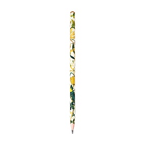 Карандаш BrunoVisconti®
чернографитовый, НВ, грифель 2 мм
Flora "SUMMER GREENS"
Арт. 21-0030/92