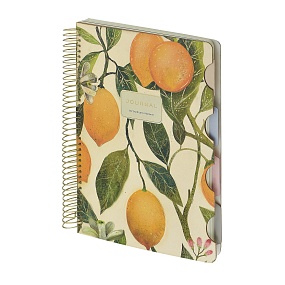 ЗАПИСНАЯ КНИЖКА "ART JOURNAL" B5,120 Л. НА СПИРАЛИ, С РАЗДЕЛИТЕЛЯМИ "ФЛОРА.РАЙСКИЕ ЛИМОНЫ"
Арт. 3-819/01