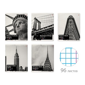 Тетрадь общая Альт®
А5 (165 х 203 мм)
"NYNY" 96 л., клетка
Арт. 7-96-1213
обложка в ассортименте