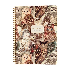 Тетрадь общая BrunoVisconti®
B5 (185 х 250 мм)
"FAUNA.ВОЛШЕБНЫЕ СОВЫ" 60 л., клетка
Арт. 7-60-007/15