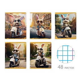 Тетрадь общая Альт®
А5 (165 х 203 мм)
"ПУШИСТЫЙ БАЙКЕР" 48 л., клетка
Арт. 7-48-1296
обложка в ассортименте