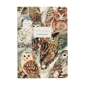 Тетрадь общая BrunoVisconti®
А5 (147 х 210 мм)
"FAUNA.ВОЛШЕБНЫЕ СОВЫ" мультиколор 60 л., клетка
Арт. 7-60-1384/03