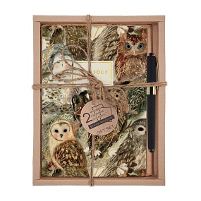 НАБОР ПОДАРОЧНЫЙ "ВОЛШЕБНЫЕ СОВЫ" (ДВЕ ТЕТРАДИ BV И РУЧКА)
Арт. 7-40-001/147-3