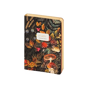 Ежедневник BrunoVisconti® недатированный
А6 (106 х 148 мм)
"FLORA.FOREST FAIRY TALE" 256 стр.
Арт. 3-742/17