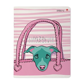 Тетрадь тематическая Альт
А5 (165 х 203 мм)
"GIRLS ONLY", биология
48 л. клетка
Арт. 7-48-1102/03