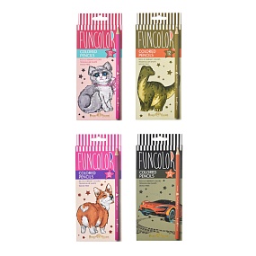 Карандаши цветные BrunoVisconti® 
12 цветов, 4 вида
FunColor
Арт. 30-0060
упаковка в ассортименте