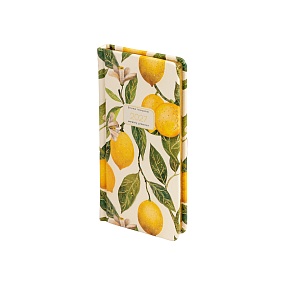 Еженедельник BrunoVisconti® датированный 2027 год
А6 (87 х 165 мм)
"FLORA.PARADISE.LEMONS" 64л.
Арт. 3-809/09