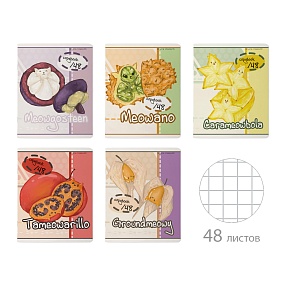 Тетрадь общая BrunoVisconti®
А5 (165 х 203 мм)
"MEOW FRUIT" 48 л., клетка
Арт. 7-48-1341
обложка в ассортименте