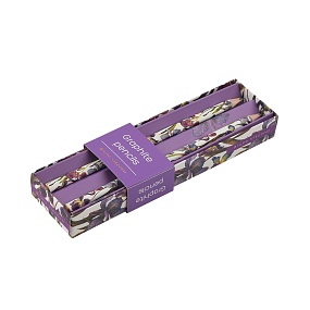 Набор чернографитовых карандашей BV
НВ, грифель 2 мм
2 шт. Flora "FLORA.ИРИСЫ"
Арт. 21-0030/100-22