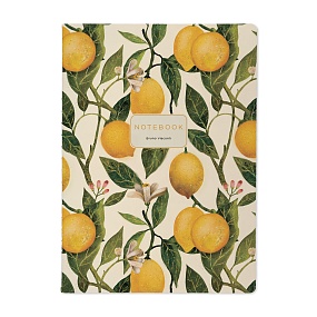 Тетрадь общая BrunoVisconti®
B5 (179x250 мм)
"FLORA.PARADISE.LEMONS" 60 л., клетка
Арт. 7-60-001/34