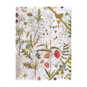 Папка-файл на резинке BrunoVisconti®
А4 (24 х 32 см)
"ЛУГОВЫЕ ТРАВЫ"
Арт. 14-033/12