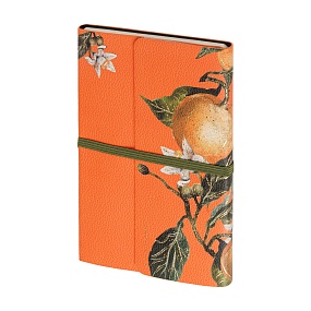 Ежедневник BrunoVisconti® недатированный
А5 (123 х 180 мм)
"FLORA.АПЕЛЬСИНЫ" мультиколор 192 стр.
Арт. 3-818/05