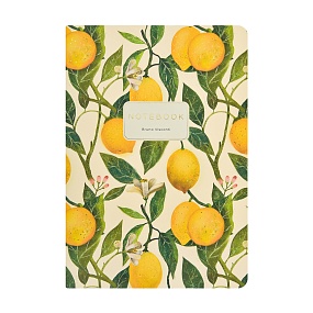 Тетрадь общая BrunoVisconti®
А5 (147 х 210 мм)
"FLORA.ЛИМОНЫ" 40 л., клетка
Арт. 7-40-001/217