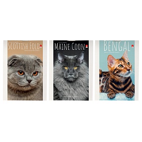 Блокнот Альт®
А7 (68х101мм)
"КОШКИ"  40 л.
Арт. 3-40-519
обложка в ассортименте