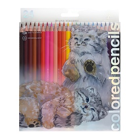 Карандашии цветные BrunoVisconti®
24  цветов, грифель 3 мм
CuteFriends "КОТ МАНУЛ"
Арт. 30-0053/01