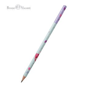 Карандаш BrunoVisconti®
чернографитовый, НВ
HappyGraphix "РОМАНТИКА КРАФТ"
Арт. 21-0030/34