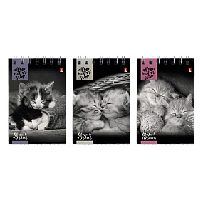 Блокнот Альт®
А7 (68 х 104мм)
"КОШАЧИЙ ВЗГЛЯД"  40 л.
Арт. 3-40-007
обложка в ассортименте