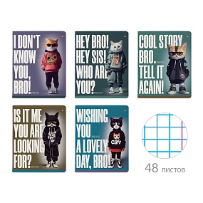 Тетрадь общая Альт®
А5 (165 х 203 мм)
"AI CAT" 48 л., клетка
Арт. 7-48-1330
обложка в ассортименте