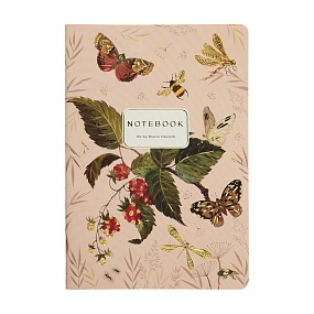 Тетрадь общая BrunoVisconti®
А5 (147 х 210 мм)
"FAUNA.БАБОЧКИ НА ЗЕМЛЯНИКЕ" 40 л., линейка
Арт. 7-40-505/71