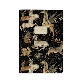 Тетрадь общая BrunoVisconti®
А5 (147 х 210 мм)
"FAUNA.FANTASY" 40 л., клетка
Арт. 7-40-001/162