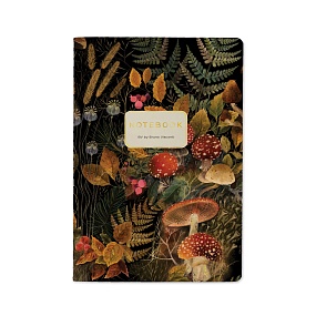Тетрадь общая BrunoVisconti®
A5 (147 х 210 мм)
"FOREST FAIRY TALE" 40 л., линейка
Арт. 7-40-505/52
обложка в ассортименте