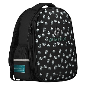 Рюкзак BrunoVisconti®
облегченная капсула
черный  с эргономичной спинкой
«ПАНДЫ МИЛАШКИ»
Арт. 12-001-189/01