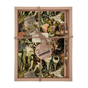 НАБОР ПОДАРОЧНЫЙ "FLORA.Эльфийский лес" (ДВЕ ТЕТРАДИ BV И РУЧКА)
Арт. 7-40-001/176-3