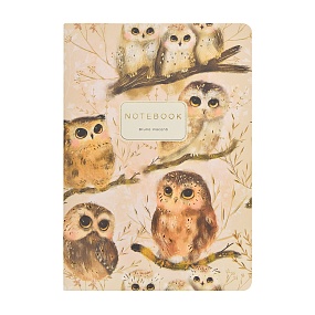 Тетрадь общая BrunoVisconti®
А5 (147 х 210 мм)
"LOVE ME.СОВУШКИ" 40 л., клетка
Арт. 7-40-001/215