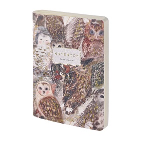 Тетрадь общая BrunoVisconti®
А6 (105 х 148 мм)
"FAUNA.ВОЛШЕБНЫЕ СОВЫ" мультиколор 60 л., линейка
Арт. 7-60-1316/03