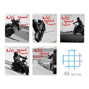 Тетрадь общая Альт®
А5 (165 х 203 мм)
"МОТО.КОНТРАСТЫ" 48 л., клетка
Арт. 7-48-595
обложка в ассортименте