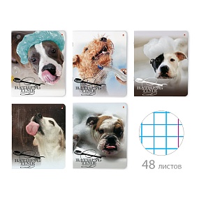 Тетрадь общая Альт®
А5 (165 х 203 мм)
"СОБАКИ.С ЛЕГКИМ ПАРОМ" 48 л., клетка
Арт. 7-48-819
обложка в ассортименте