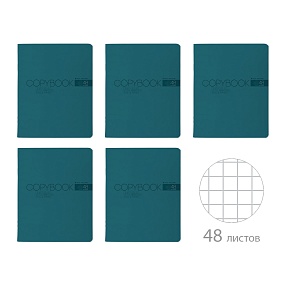 Тетрадь общая BrunoVisconti®
А5 (165 х 203 мм)
"MY COLOR" ЛАЗУРЬ 48 л., клетка
Арт. 7-48-1380
