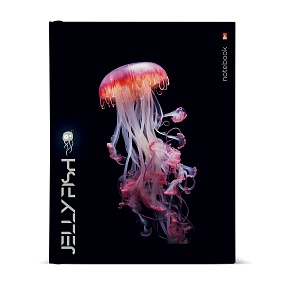 Тетрадь со сменным блоком Альт®
А5 (170 х 220 мм)
"МЕДУЗЫ ФЕНТЕЗИ" 80л., клетка
Арт. 7-80-081/43