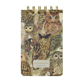 БЛОКНОТ НА ГРЕБНЕ «CUTE JOURNAL» A6-, BV, 100 Л. "FAUNA.ВОЛШЕБНЫЕ СОВЫ" ЛИНЕЙКА
Арт. 3-100-005/06