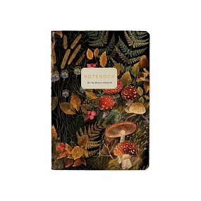 Тетрадь общая BrunoVisconti®
А6 (105 х 148 мм)
"FLORA.FOREST FAIRY TALE" 32 л., клетка
Арт. 7-32-506/23