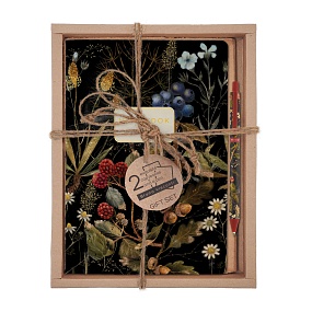 НАБОР ПОДАРОЧНЫЙ "FLORA.Berry Bouquet" (ДВЕ ТЕТРАДИ BV И РУЧКА)
Арт. 7-40-001/213-3